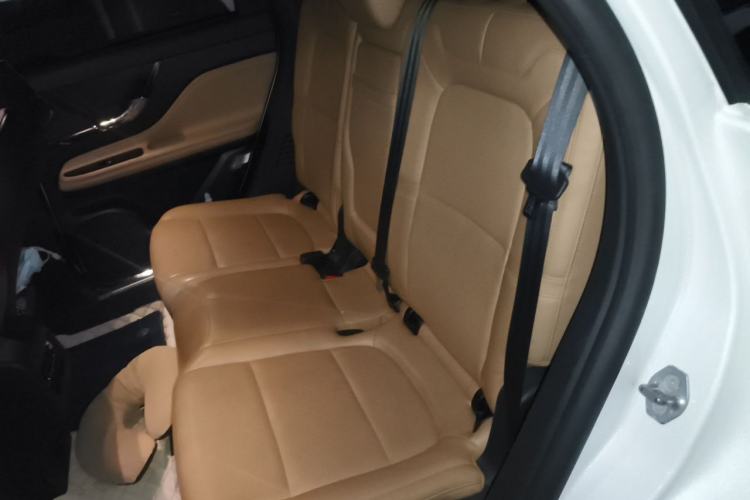 Used Lincoln Corsair 2020 2.0T Two-Wheel Drive Luxury Edition Left Rear Seat