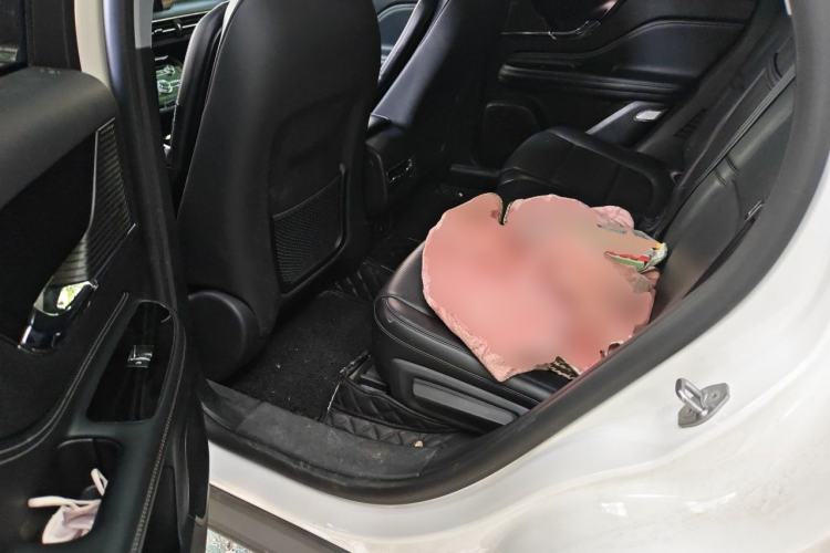 Used Lincoln Corsair 2020 2.0T Two-Wheel Drive Luxury Edition Left Rear Seat