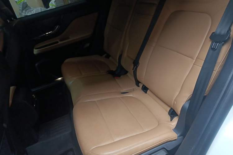 Used Lincoln Corsair 2020 2.0T Two-Wheel Drive Luxury Edition Left Rear Seat