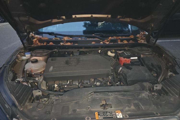 Used Lincoln Corsair 2020 2.0T Two-Wheel Drive Luxury Edition Engine Bay