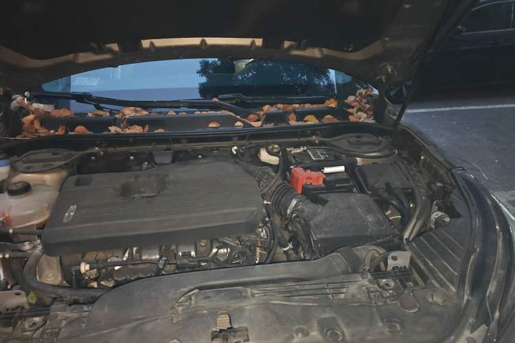 Used Lincoln Corsair 2020 2.0T Two-Wheel Drive Luxury Edition Engine Bay Left