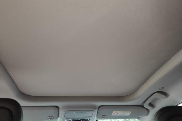 Used Lincoln Corsair 2021 2.0T Four-Wheel Drive Prestige Edition Headliner