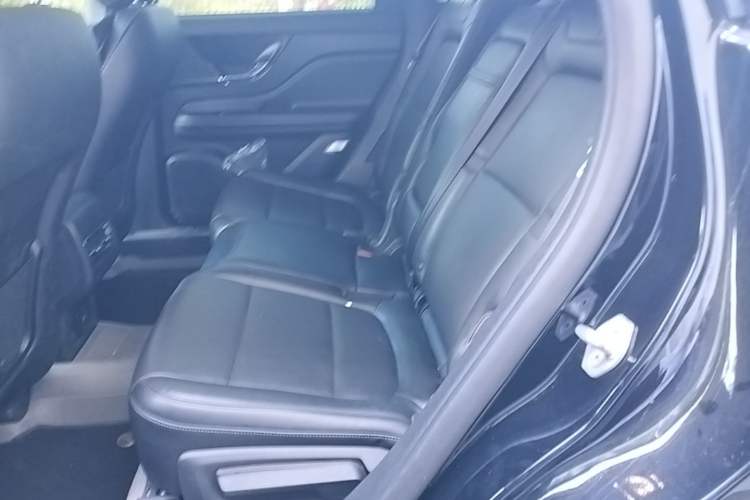 Used Lincoln Corsair 2021 2.0T Two-Wheel Drive Deluxe Edition Left Rear Seat