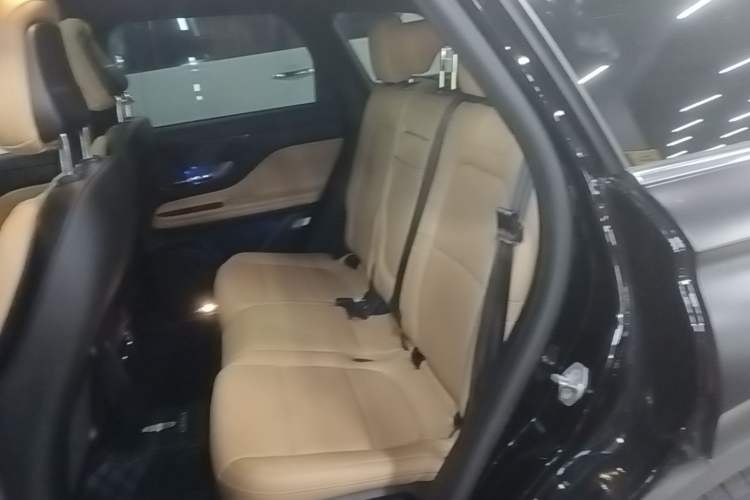 Used Lincoln Corsair 2021 2.0T Two-Wheel-Drive Luxury Edition Left Rear Seat