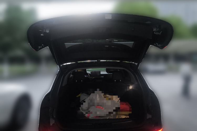Used Lincoln Corsair 2021 2.0T Four-Wheel Drive Prestige Edition Trunk