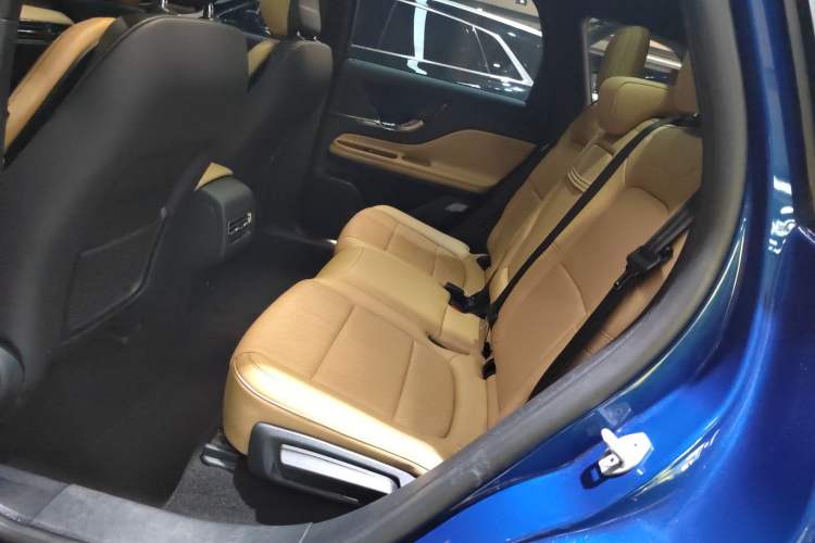Used Lincoln Corsair 2021 2.0T Two-Wheel-Drive Luxury Edition Left Rear Seat