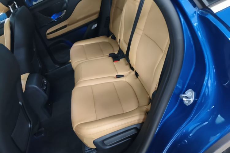 Used Lincoln Corsair 2021 2.0T Two-Wheel-Drive Luxury Edition Left Rear Seat