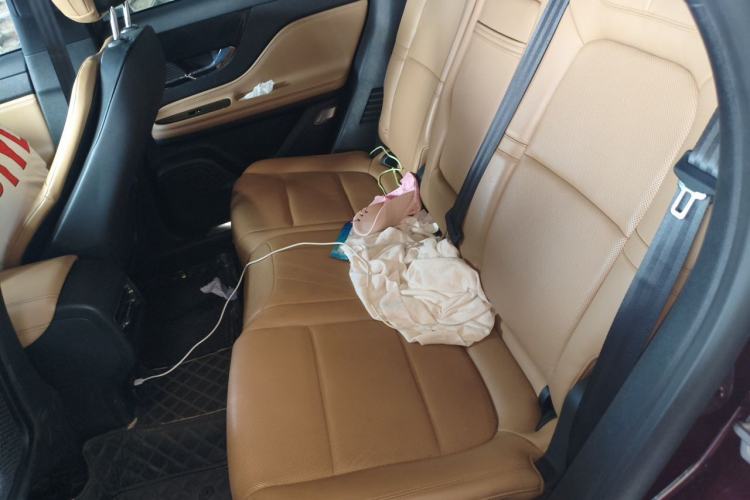 Used Lincoln Corsair 2021 2.0T Two-Wheel-Drive Luxury Edition Left Rear Seat