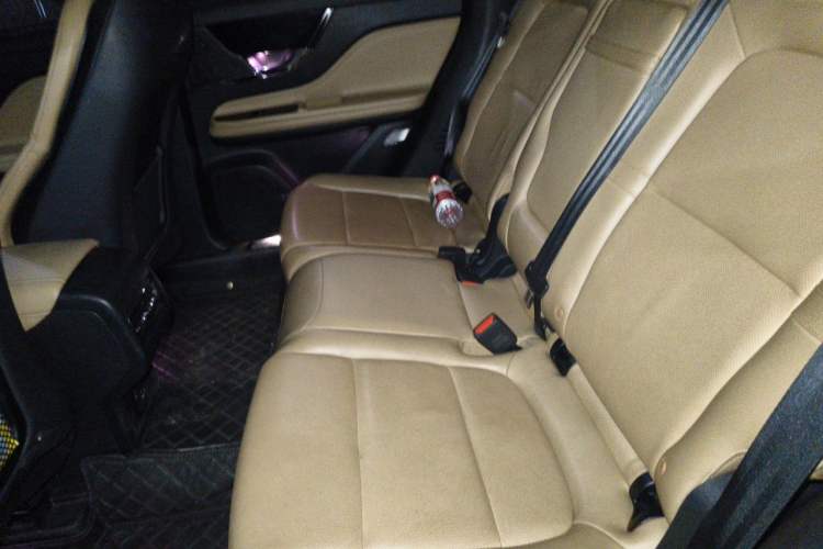 Used Lincoln Corsair 2021 2.0T Two-Wheel-Drive Luxury Edition Left Rear Seat