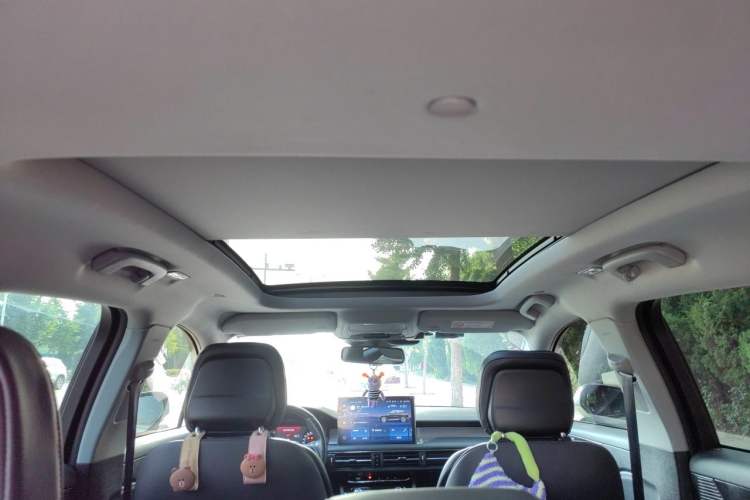Used Lincoln Corsair 2021 2.0T Two-Wheel Drive Deluxe Edition Headliner