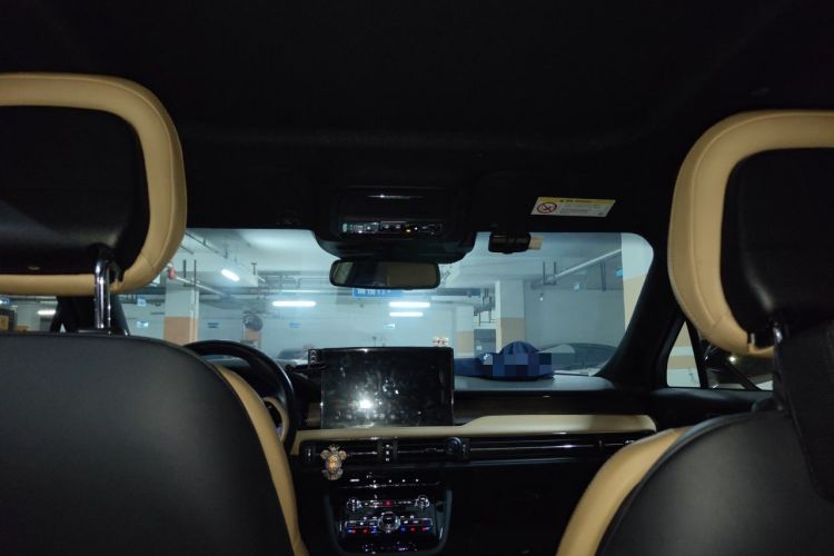 Used Lincoln Corsair 2021 2.0T Four-Wheel Drive Prestige Edition Headliner