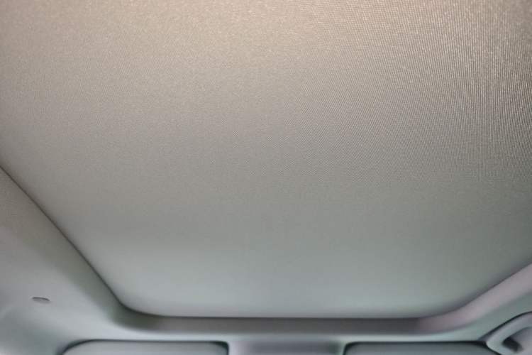 Used Lincoln Corsair 2021 2.0T Two-Wheel-Drive Luxury Edition Headliner