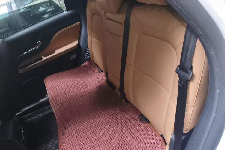 Used Lincoln Corsair 2021 2.0T Two-Wheel-Drive Luxury Edition Left Rear Seat