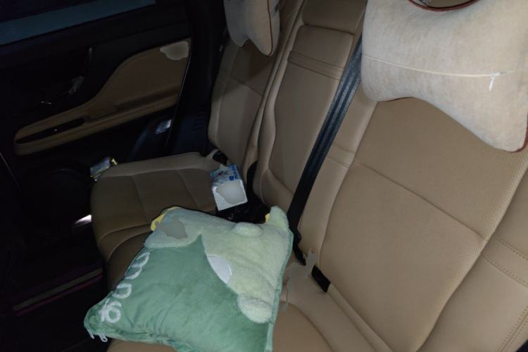 Used Lincoln Corsair 2021 2.0T Four-Wheel Drive Prestige Edition Left Rear Seat