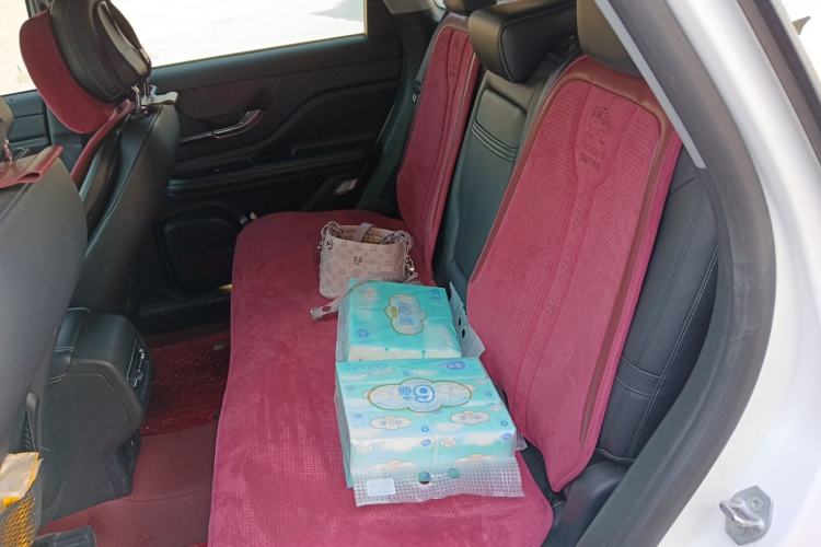 Used Lincoln Corsair 2021 2.0T Two-Wheel-Drive Luxury Edition Left Rear Seat