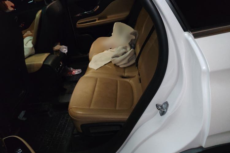 Used Lincoln Corsair 2021 2.0T Two-Wheel-Drive Luxury Edition Left Rear Seat