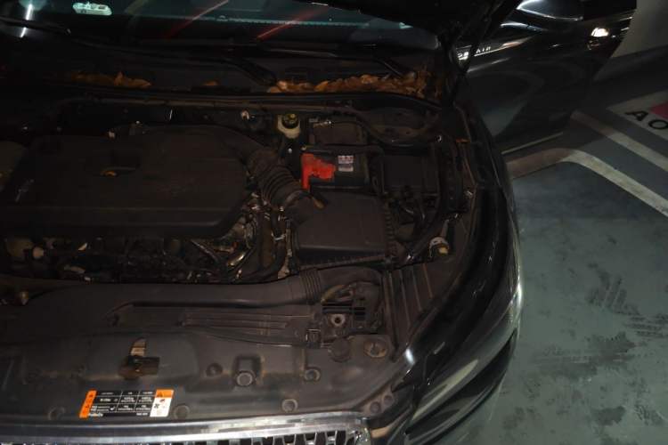 Used Lincoln Corsair 2022 2.0T Two-Wheel Drive Zunyue Edition Engine Bay Left