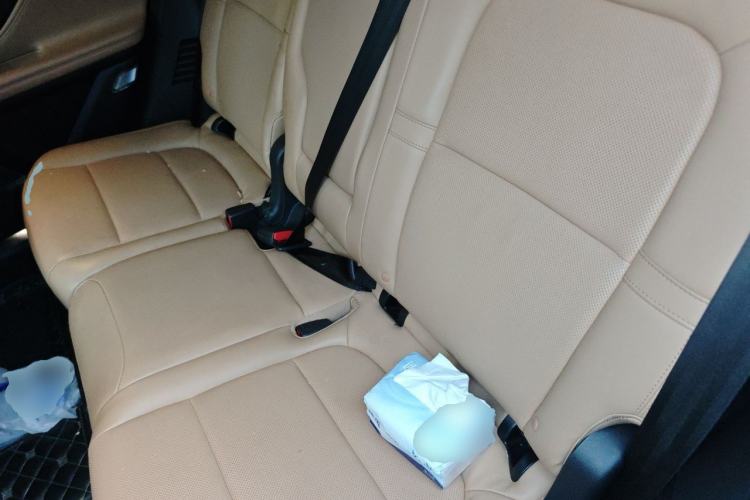 Used Lincoln Corsair 2022 2.0T Two-Wheel Drive Luxury Edition Left Rear Seat
