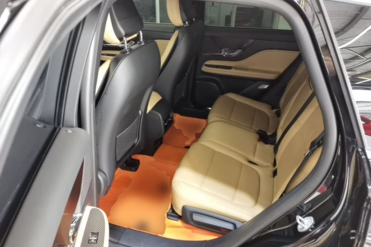 Used Lincoln Corsair 2022 2.0T Two-Wheel Drive Luxury Edition Left Rear Seat