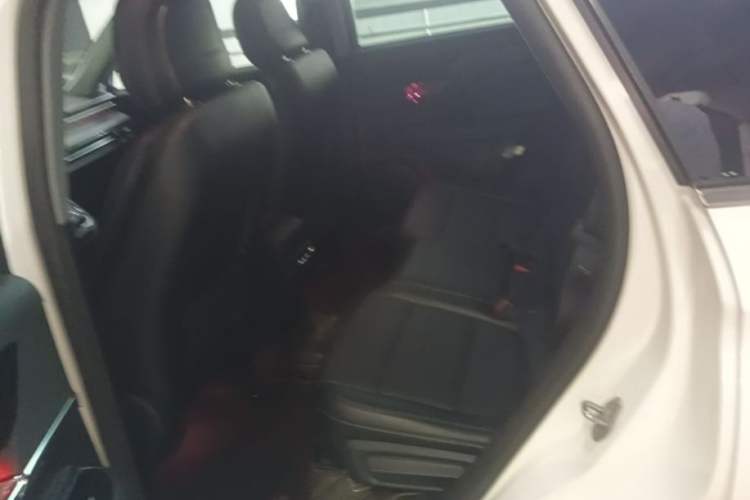 Used Lincoln Corsair 2022 2.0T Two-Wheel Drive Deluxe Edition Left Rear Seat