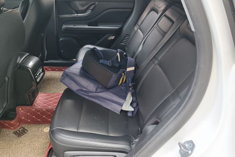 Used Lincoln Corsair 2022 2.0T Two-Wheel Drive Deluxe Edition Left Rear Seat