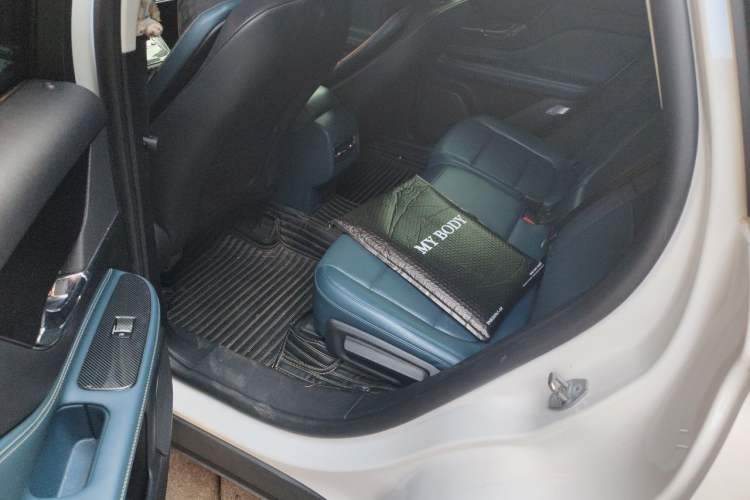 Used Lincoln Corsair 2022 2.0T Two-Wheel-Drive MONO Limited Edition Left Rear Seat