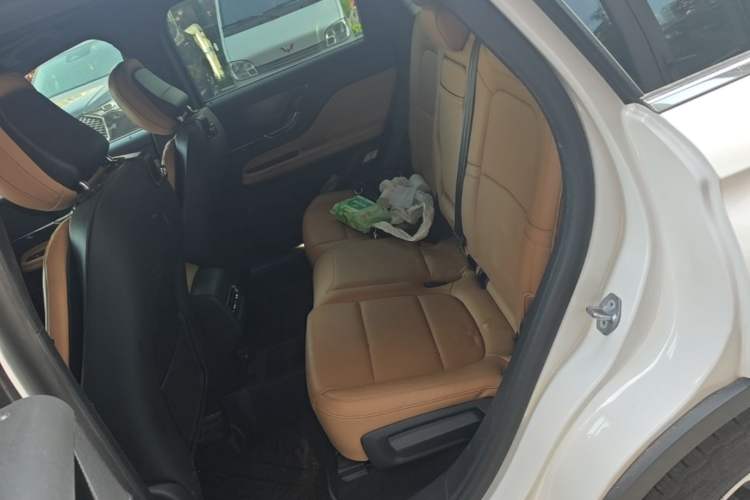 Used Lincoln Corsair 2022 2.0T Two-Wheel Drive Luxury Edition Left Rear Seat