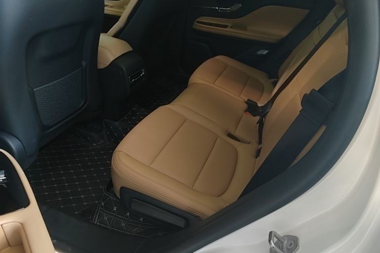 Used Lincoln Corsair 2022 2.0T Two-Wheel Drive Luxury Edition Left Rear Seat