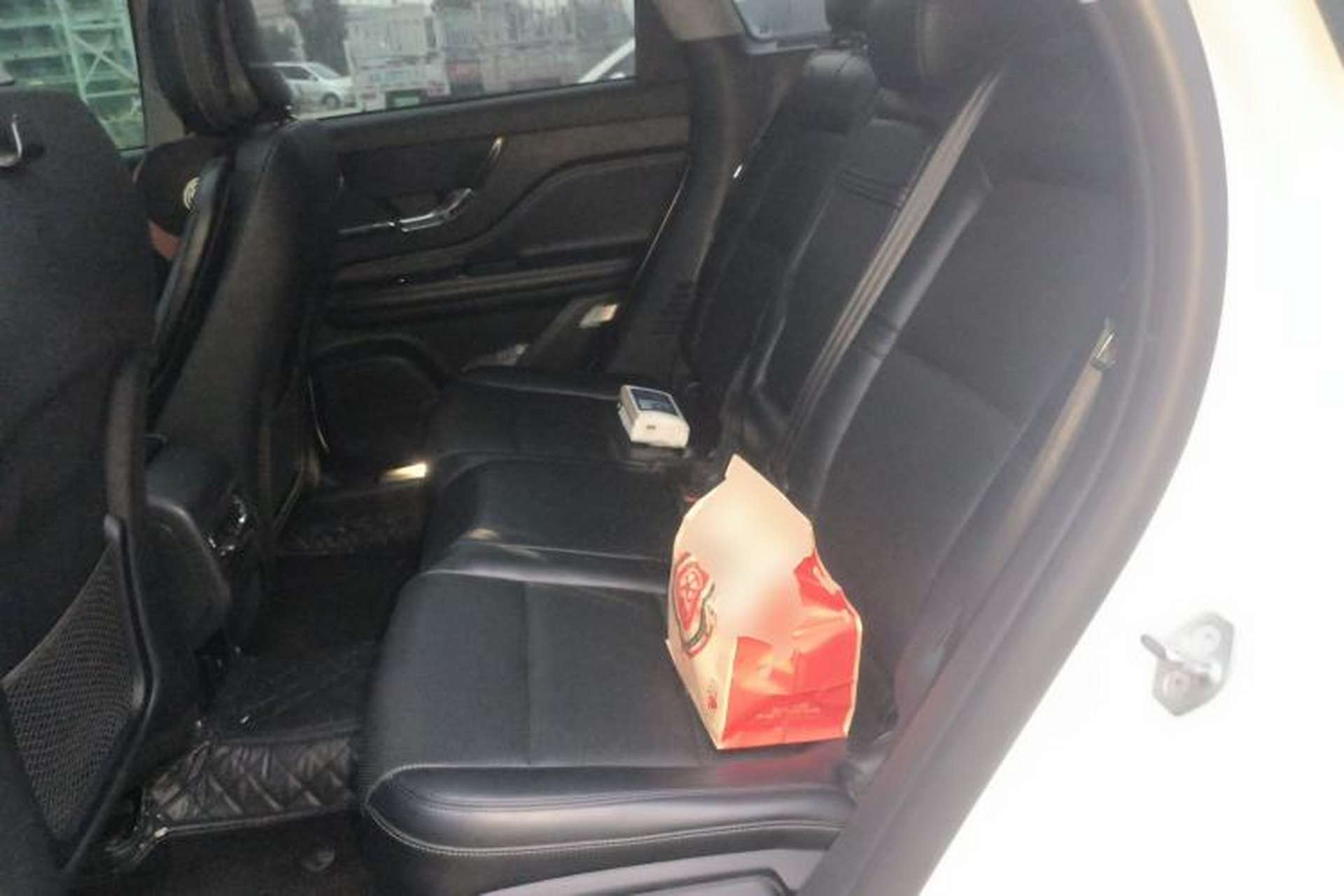 Used Lincoln Corsair 2022 2.0T Two-Wheel Drive Deluxe Edition Left Rear Seat