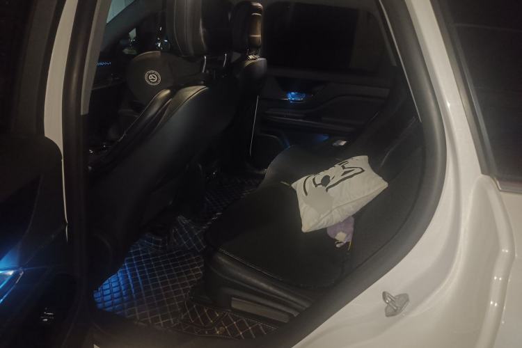 Used Lincoln Corsair 2022 2.0T Two-Wheel Drive Deluxe Edition Left Rear Seat