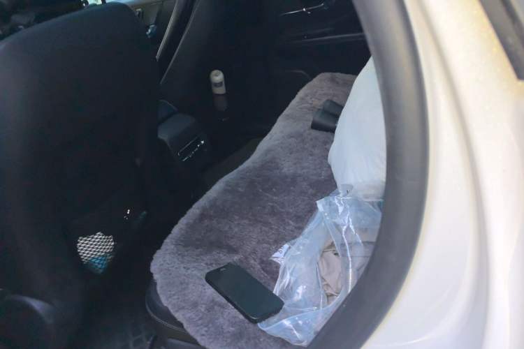 Used Lincoln Corsair 2022 2.0T Two-Wheel Drive Luxury Edition Left Rear Seat
