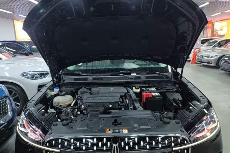 Used Lincoln Corsair 2023 2.0T Two-Wheel Drive Luxury Edition Engine Bay