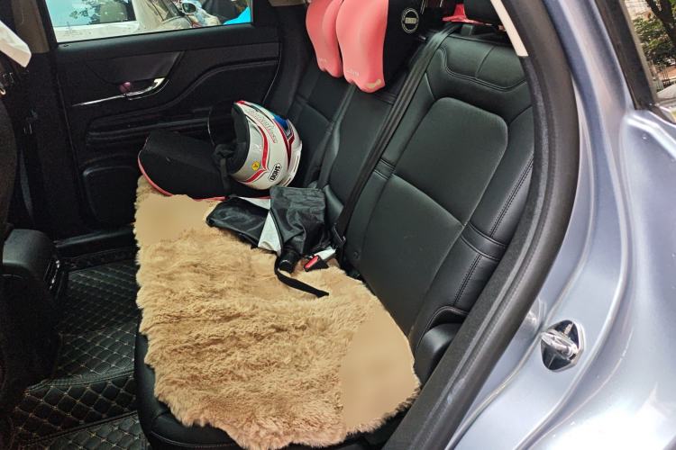 Used Lincoln Corsair 2023 2.0T Two-Wheel Drive Luxury Edition Left Rear Seat