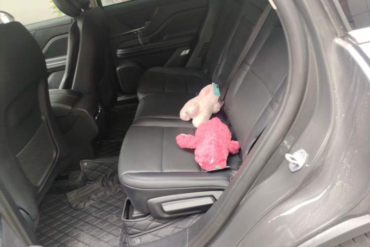 Used Lincoln Corsair 2023 2.0T Two-Wheel Drive Luxury Edition Left Rear Seat