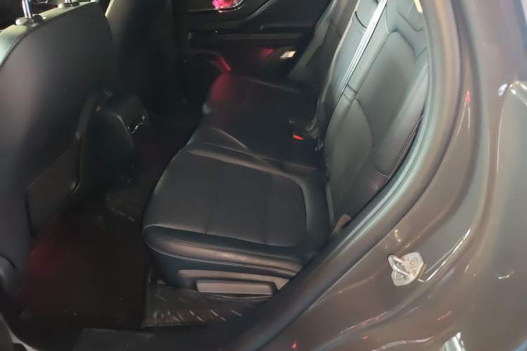 Used Lincoln Corsair 2023 2.0T Two-Wheel Drive Luxury Edition Left Rear Seat