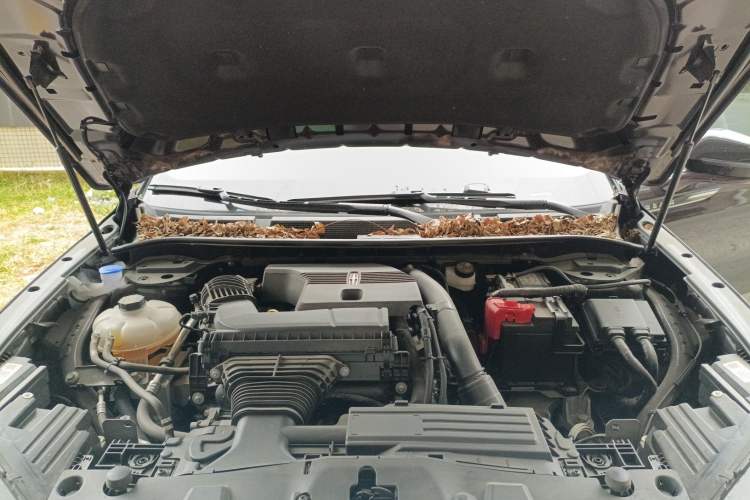 Used Lincoln Corsair 2023 2.0T Two-Wheel Drive Luxury Edition Engine Bay