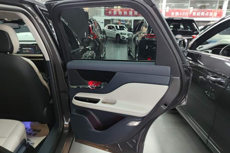 Used Lincoln Corsair 2023 2.0T Two-Wheel-Drive Luxury Edition Right Rear Door Interior