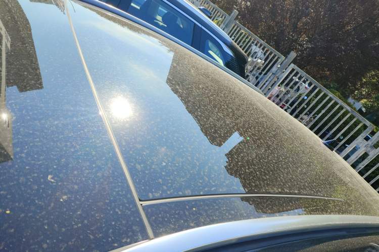 Used Lincoln Corsair 2023 2.0T Two-Wheel Drive Luxury Edition Roof