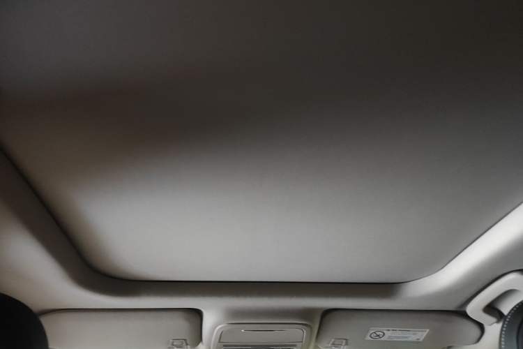 Used Lincoln Corsair 2023 2.0T Two-Wheel Drive Luxury Edition Headliner