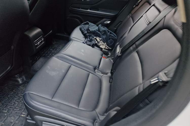 Used Lincoln Corsair 2023 2.0T Two-Wheel Drive Luxury Edition Left Rear Seat