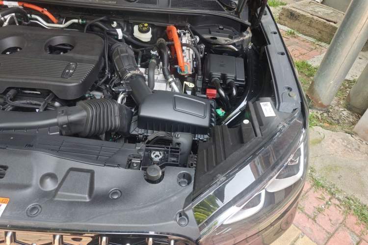 Used Lincoln Corsair 2024 1.5T Two-Wheel Drive Deluxe Hybrid Version Engine Bay Left
