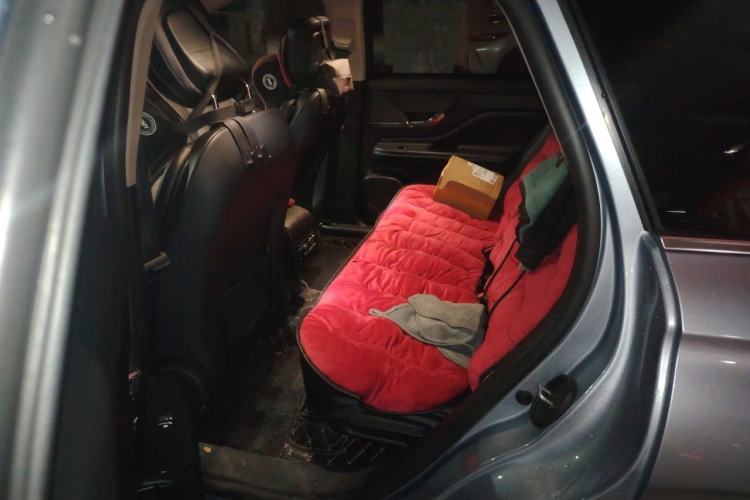 Used Lincoln Corsair 2024 2.0T Two-Wheel-Drive Luxury Edition Left Rear Seat