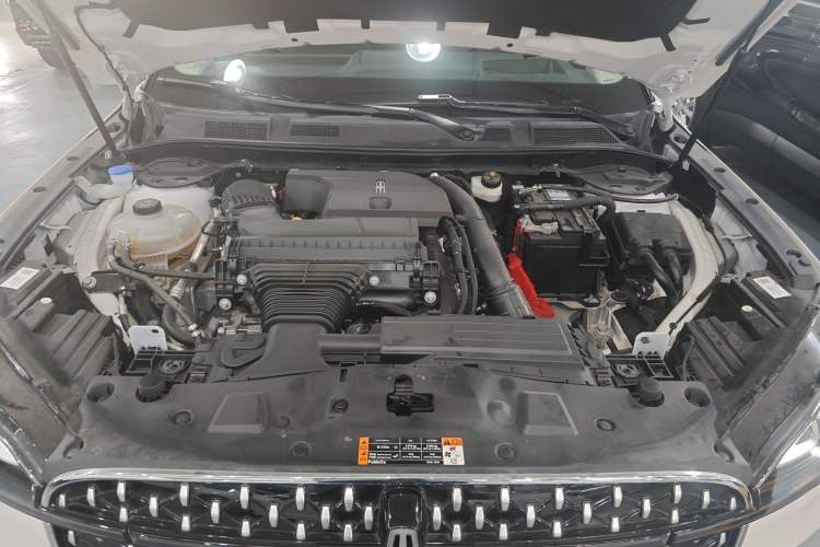 Used Lincoln Corsair 2024 2.0T Four-Wheel Drive Prestige Edition Engine Bay