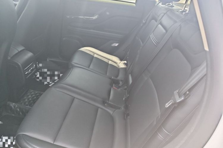 Used Lincoln Corsair 2024 1.5T Two-Wheel Drive Deluxe Hybrid Version Left Rear Seat