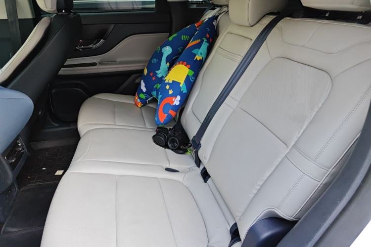 Used Lincoln Corsair 2024 2.0T Two-Wheel-Drive Luxury Edition Left Rear Seat
