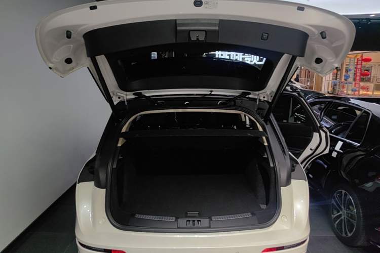 Used Lincoln Corsair 2024 2.0T Four-Wheel Drive Prestige Edition Trunk
