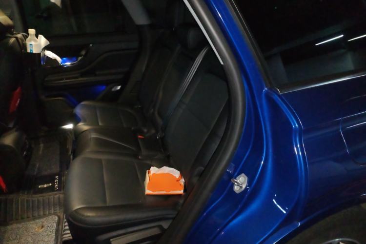 Used Lincoln Corsair New Energy 2021 PHEV Four-Wheel Drive e-Style Edition Left Rear Seat