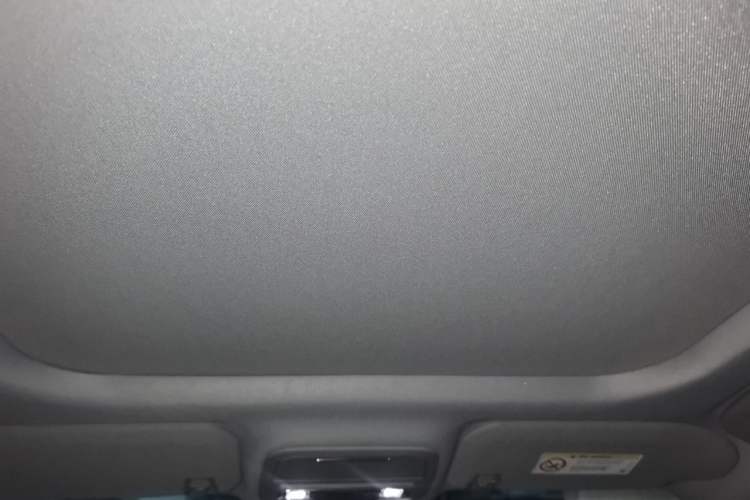 Used Lincoln Corsair New Energy 2021 PHEV Four-Wheel Drive e-Style Edition Headliner