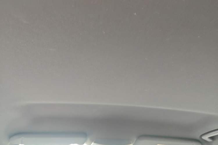 Used Lincoln MKC 2018 2.0T Two-Wheel Drive Zunyue Edition Headliner