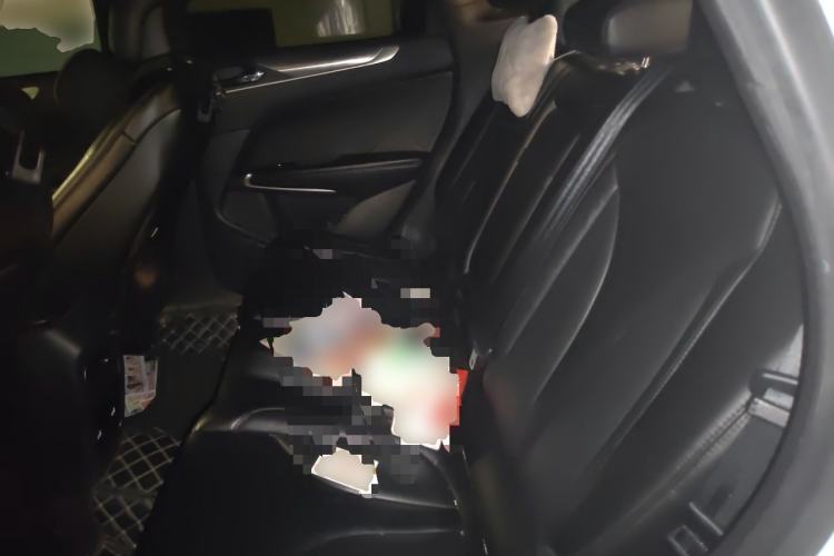 Used Lincoln MKC 2019 2.0T Two-Wheel Drive Luxury Edition China VI Standard Left Rear Seat